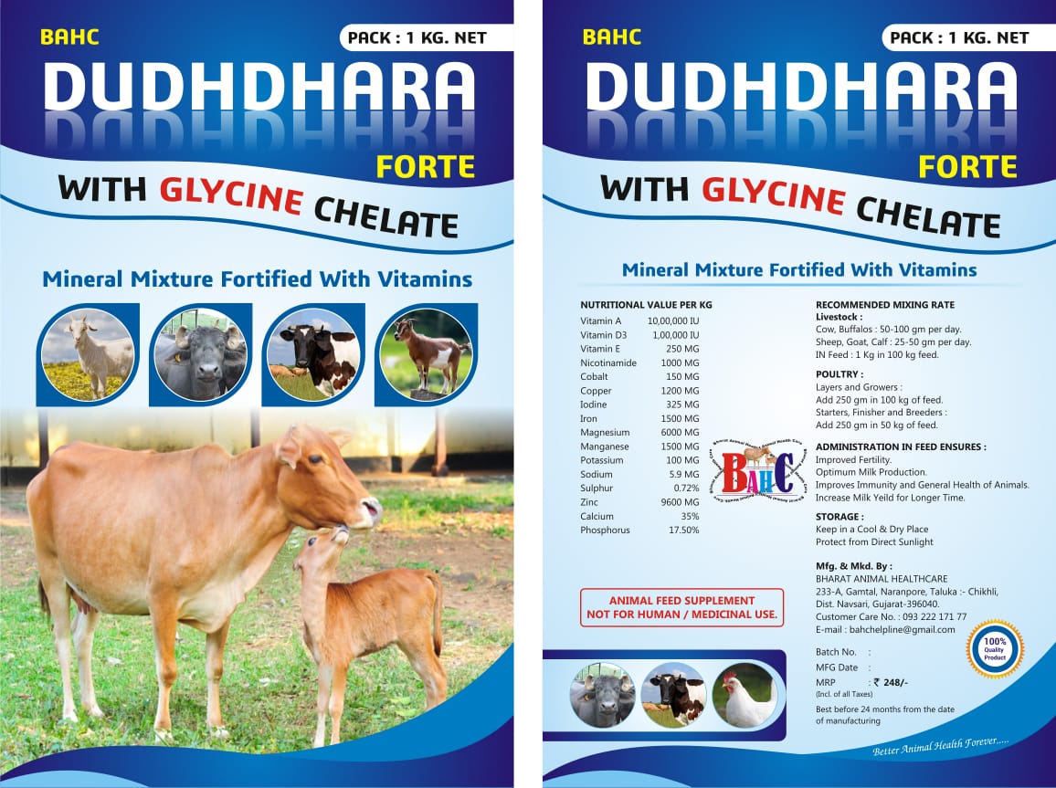 Dudhdhara Forte Glycine Chelated - Image 2